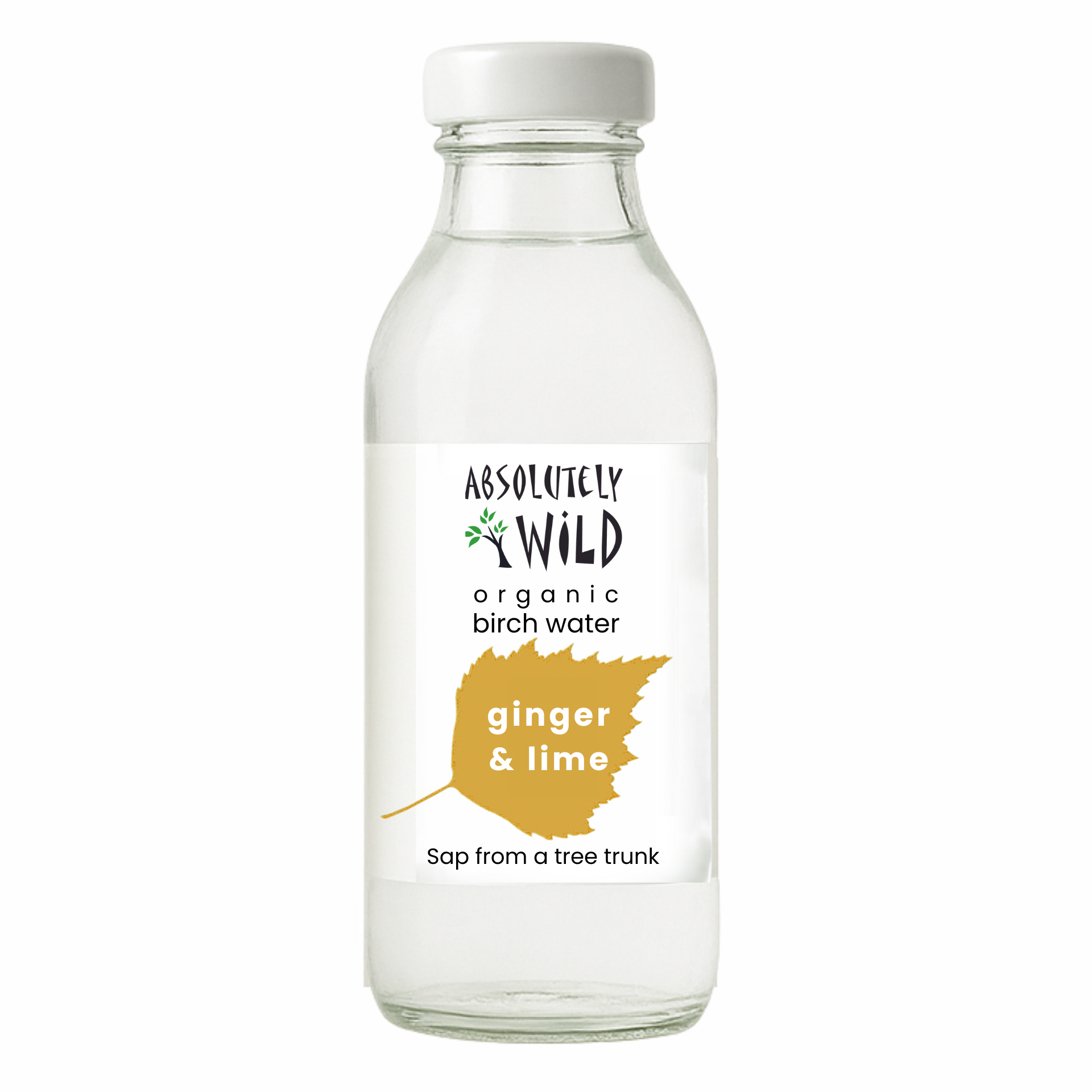Absolutely Wild Organic Birch Water sap juice Ginger and Lime