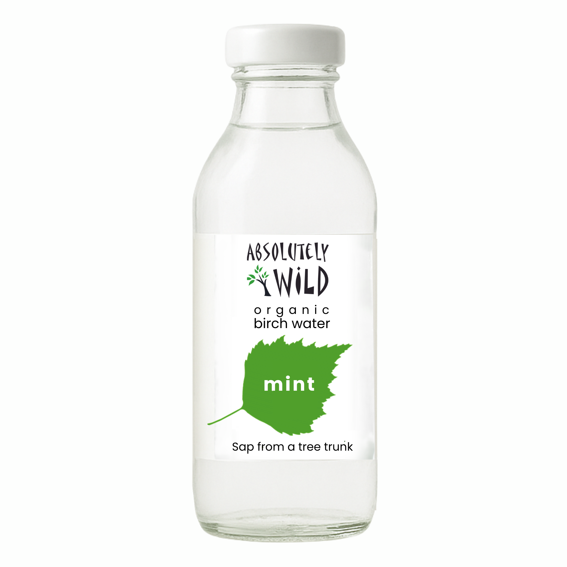 Absolutely Wild Organic Birch Water sap juice Mint