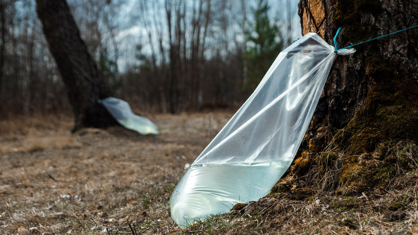 This image for Image Layouts addon