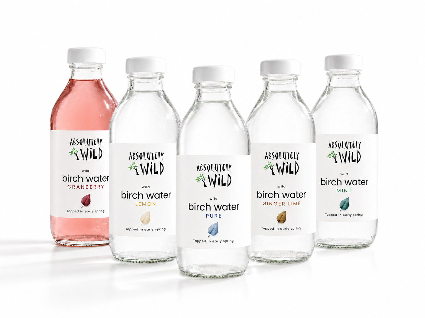 Absolutely Wild organic birch water in Pure, Lemon, Mint, Ginger and Lime, and Cranberry flavours