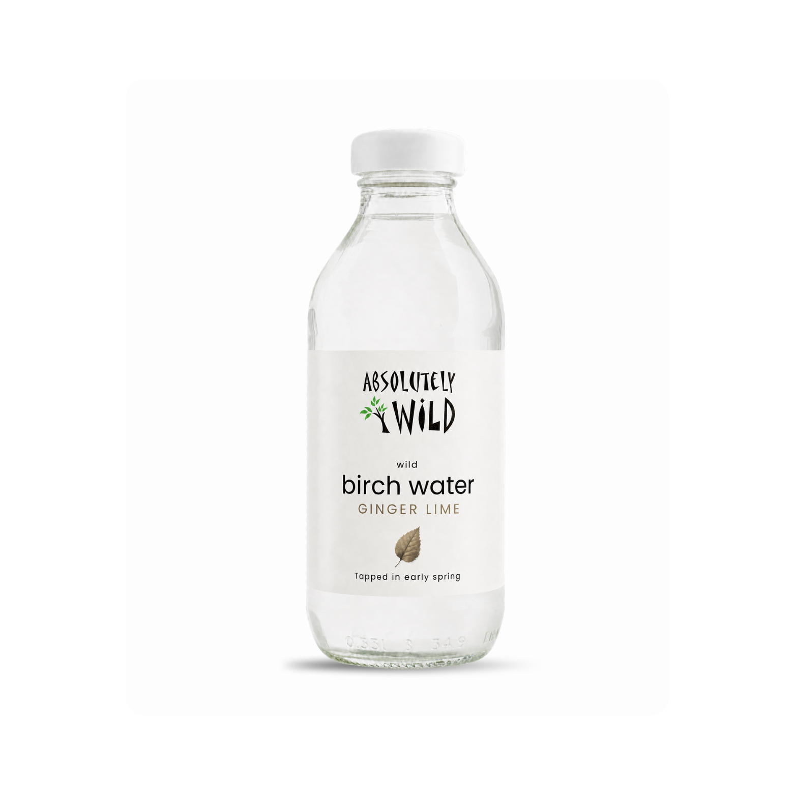 Absolutely Wild Organic Birch Water Ginger and Lime
